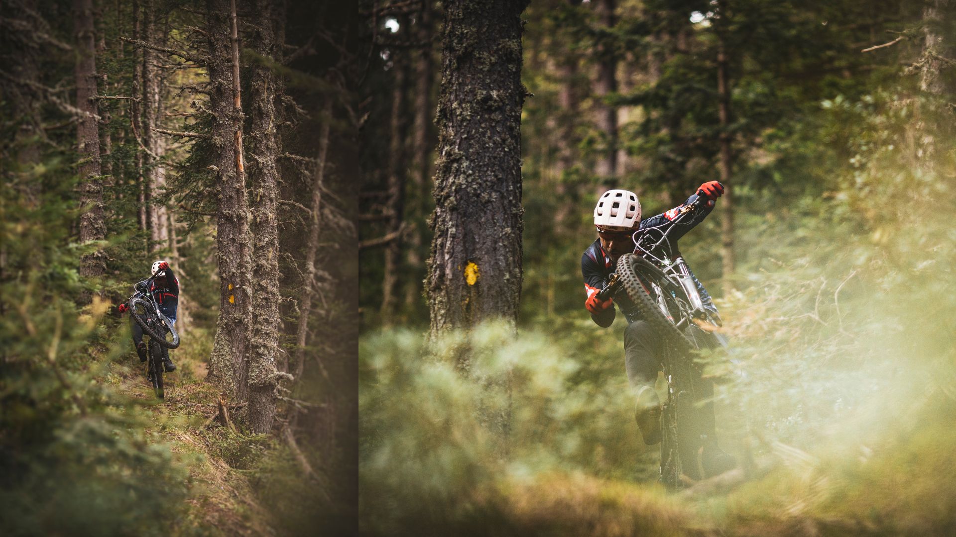 MOUNTAIN BIKE