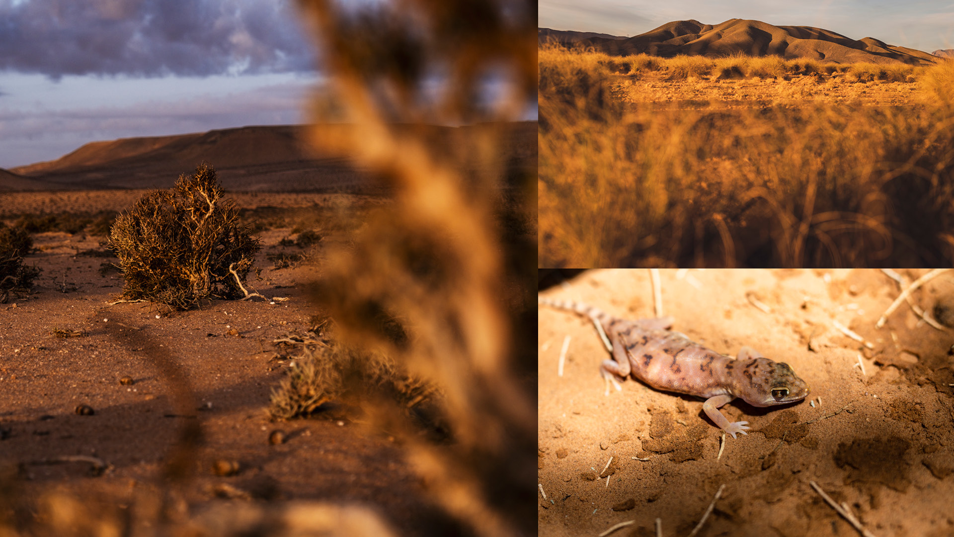 MOROCCAN ATMOSPHERES