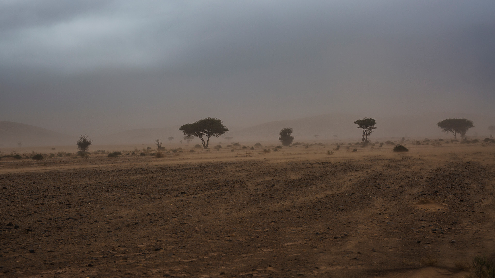 MOROCCAN ATMOSPHERES