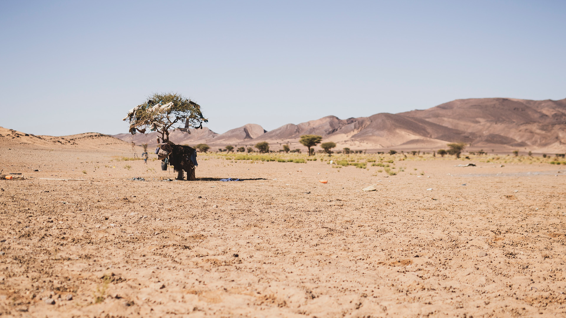 MOROCCAN ATMOSPHERES