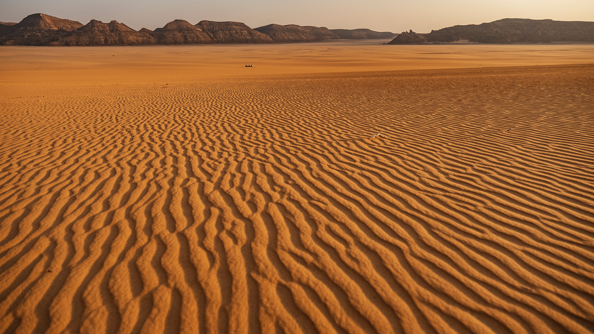 DAKAR RALLY