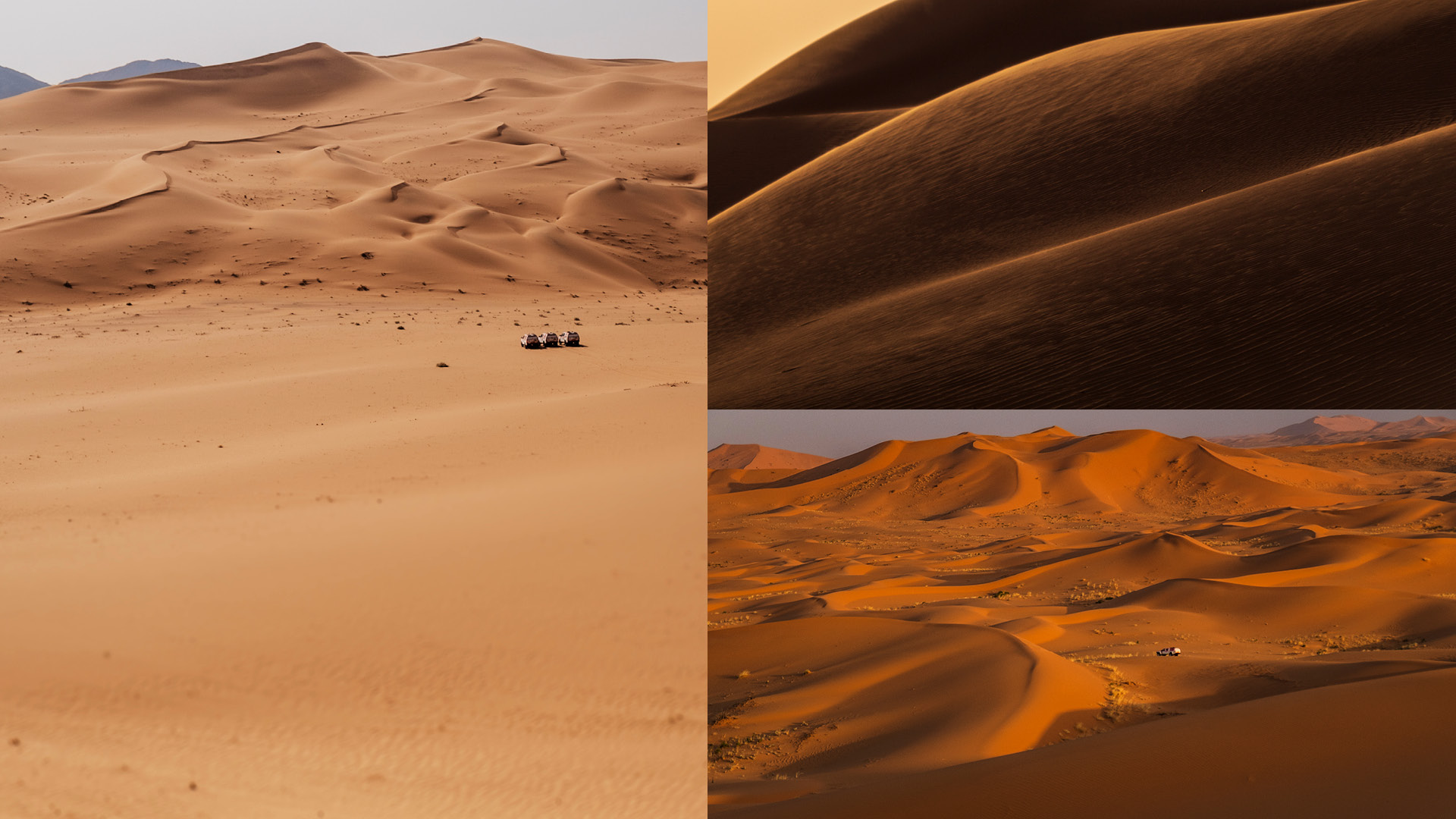 RECCES IN SAOUDIA