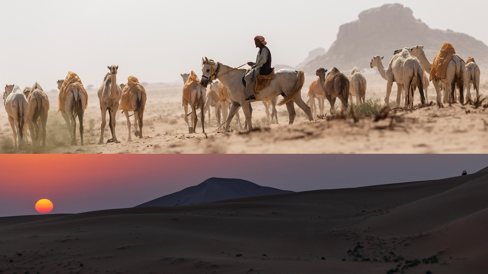 RECCES IN SAOUDIA