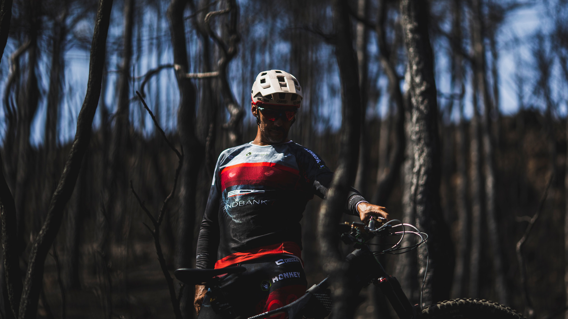 MOUNTAIN BIKE