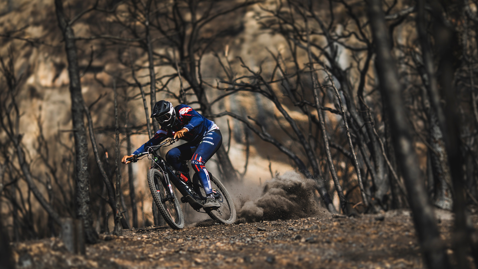 MOUNTAIN BIKE