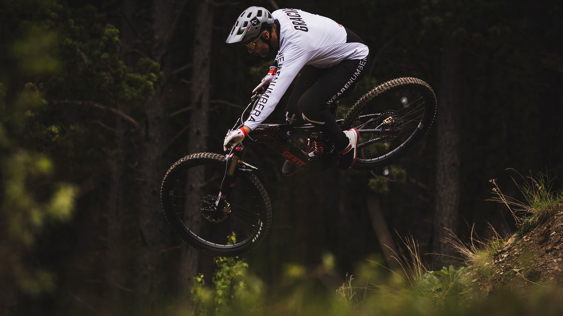 MOUNTAIN BIKE