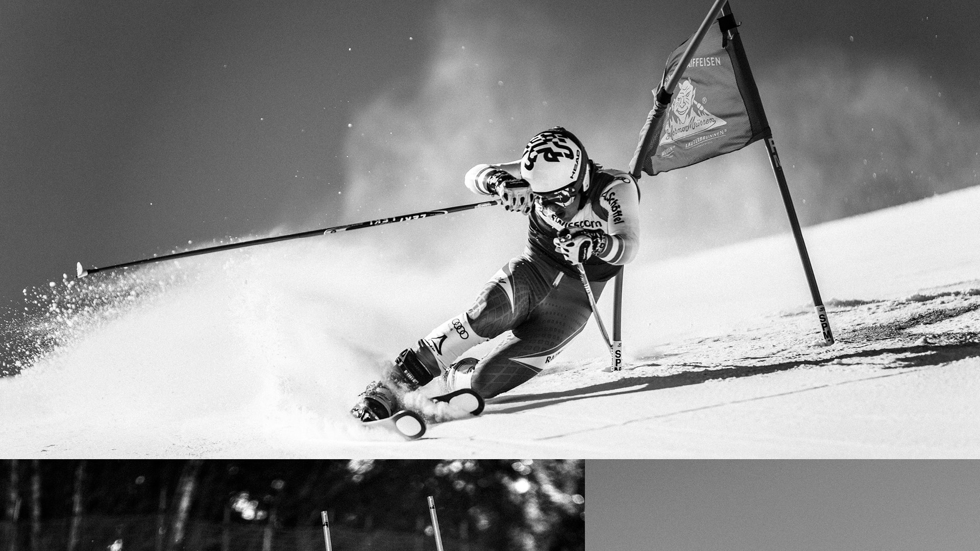 FIS TELEMARK WORLD CUP