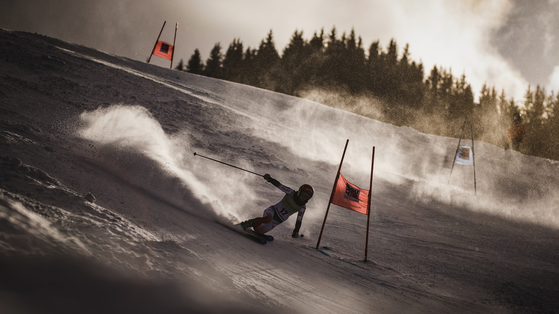 FIS TELEMARK WORLD CUP
