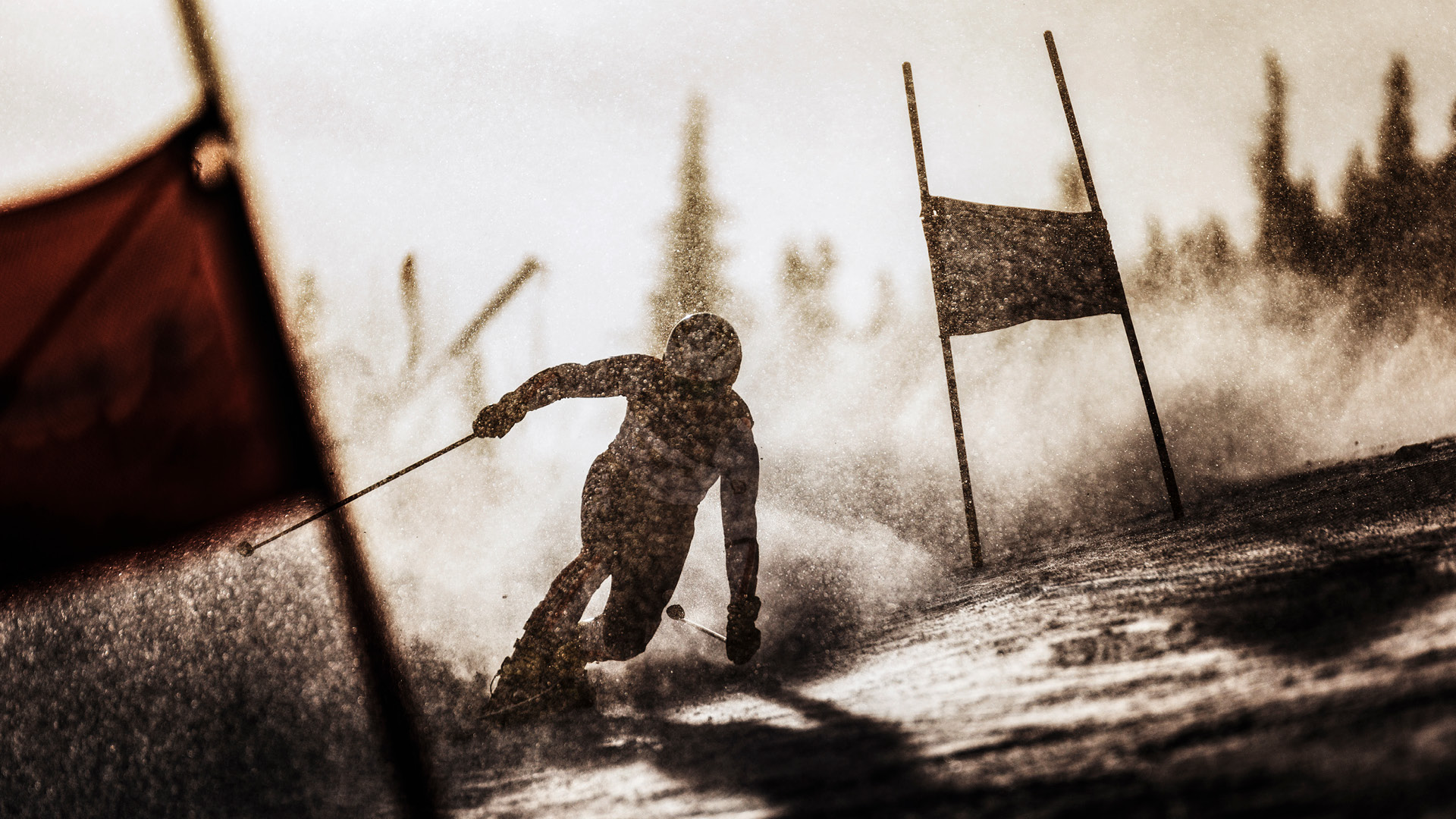 FIS TELEMARK WORLD CUP