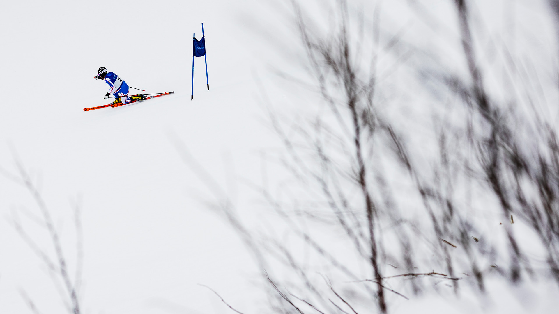 FIS TELEMARK WORLD CUP