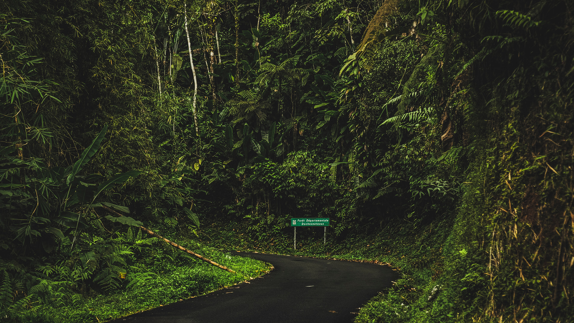 GUYANE MARTINIQUE