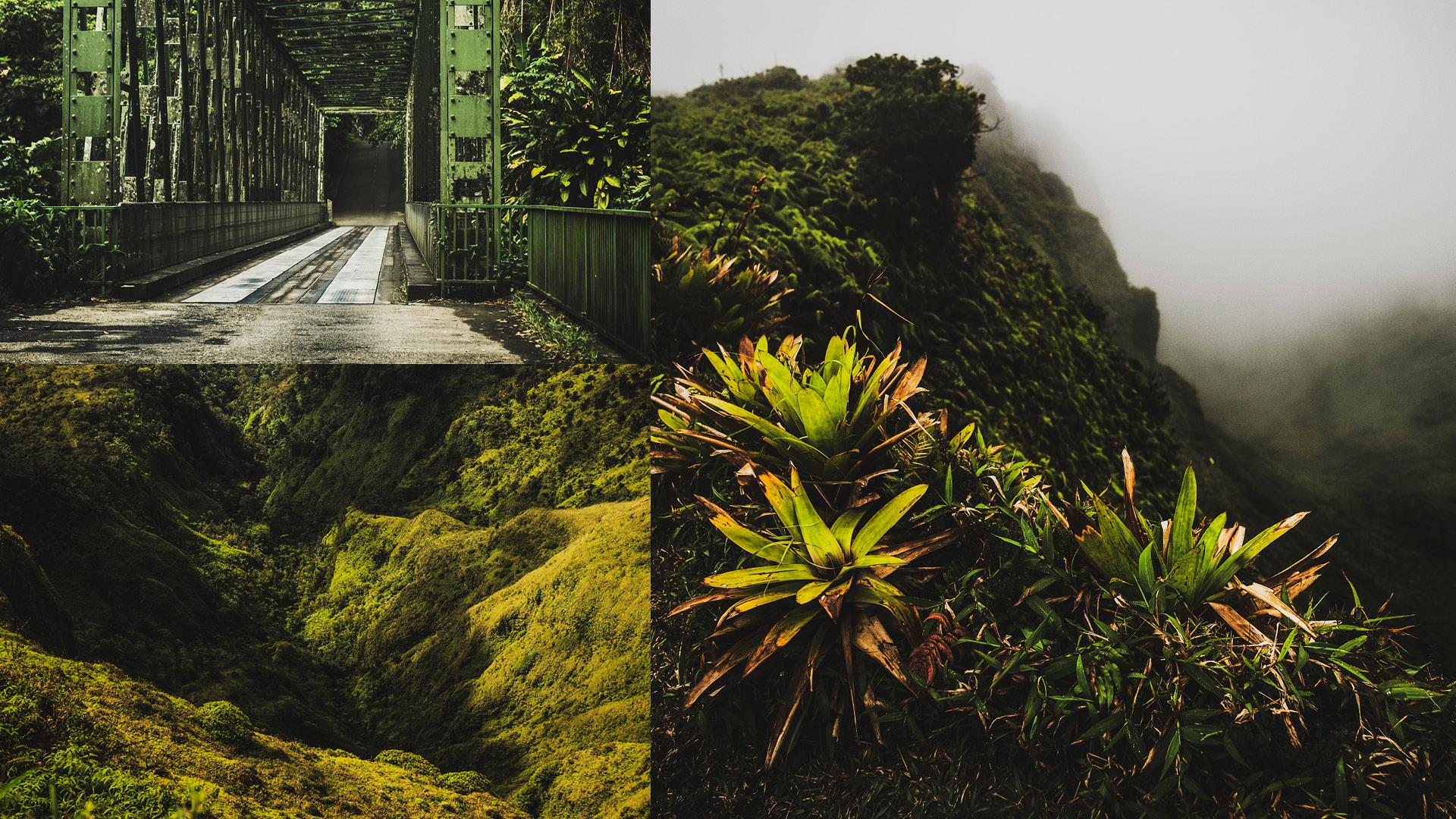 GUYANE MARTINIQUE